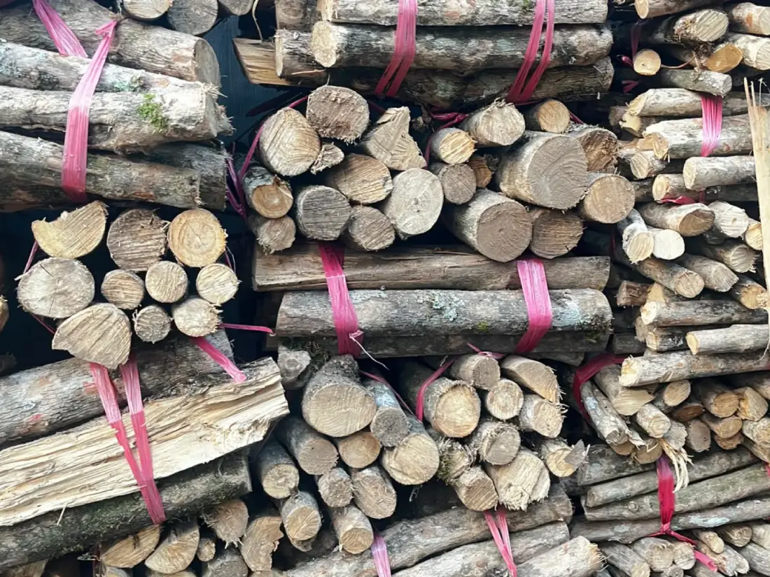 Kayu Kopi